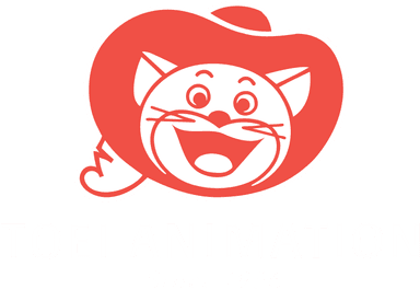 Toei Animation Logo